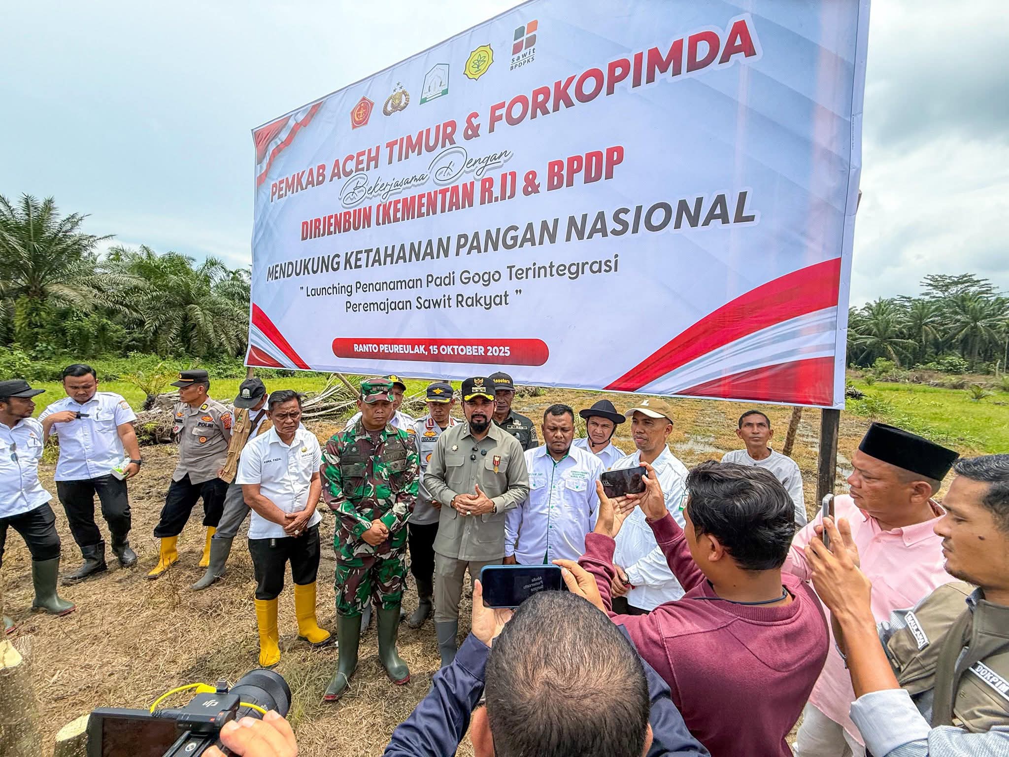 Bupati Al Farlaky  Launching Penanaman Padi Gogo Terintegrasi Peremajaan Sawit Rakyat