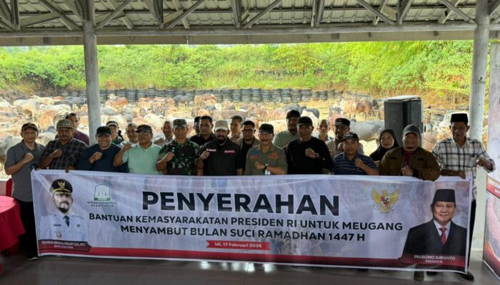 Bupati Al- Farlaky Serahkan Sapi Bantuan Presiden untuk Meugang Masyarakat Terdampak Banjir