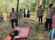 Frustasi Akibat Perceraian, Penyebab Tewas nya Pria Di Desa Panton Rayeuk