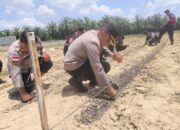 Dukung Ketahanan Pangan, Kapolres Aceh Tamiang Tanam Tanaman Pangan di Sisa Lumpur Eks Banjit