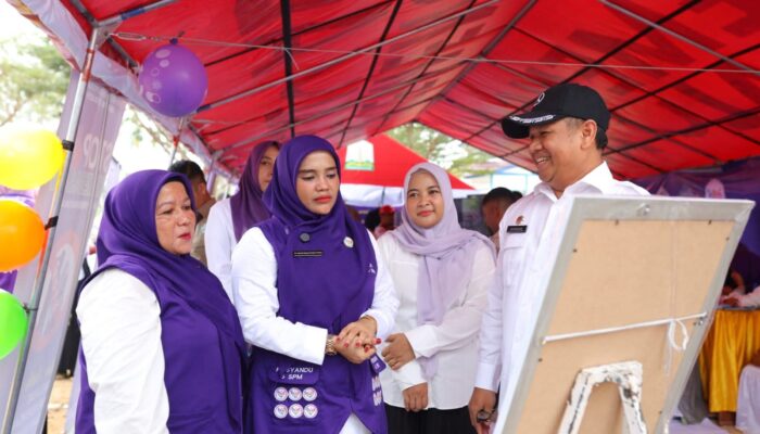 Ketua Tim Pembina Posyandu Aceh Timur Hadiri Kegiatan Posyandu Nasional di Aceh Utara