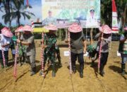 Dukung Hanpangnas, Kodim 0117/Atam Programkan Giat Tanam Jagung Perdana