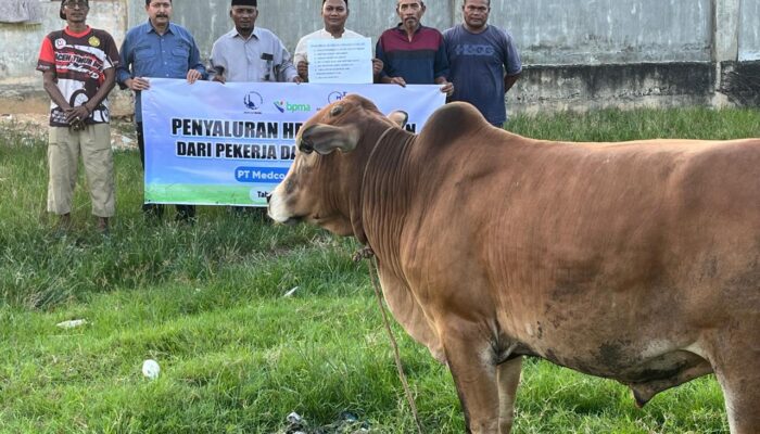 Medco E&P Salurkan Puluhan Hewan Kurban untuk Warga di Sekitar Blok A Aceh Timur