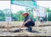 Bupati Armia Fahmi Ikut Tanam Jagung Hanpang Program Kodim 0117/Atam