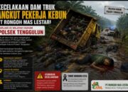 Pekerja Meninggal Akibat Laka Dilokasi HGU PT RML Tanpa Dibekali BPJS ketenagakerjaan, Ada Apa Ini?