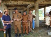 Prabowo Bantu Sapi Qurban, Bupati Armia Fahmi Serahkan untuk 2 Desa