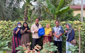 Pekarangan Rumah Jadi Cuan, Kebun Sayur Warga Indra Makmu Binaan Medco E&P Mulai Hasilkan Omzet