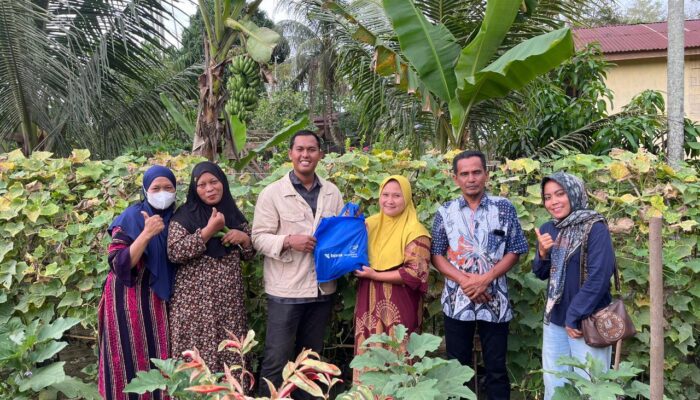 Pekarangan Rumah Jadi Cuan, Kebun Sayur Warga Indra Makmu Binaan Medco E&P Mulai Hasilkan Omzet