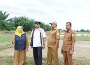Pemkab Aceh Tamiang Buru Percepatan Rehab dan Rekon Lahan Pertanian, Ini Tujuannya