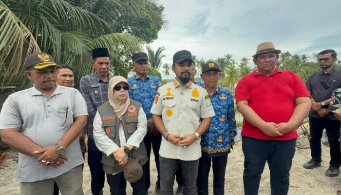 Pascabanjir, Bupati Al-Farlaky Cek Irigasi yang Rusak