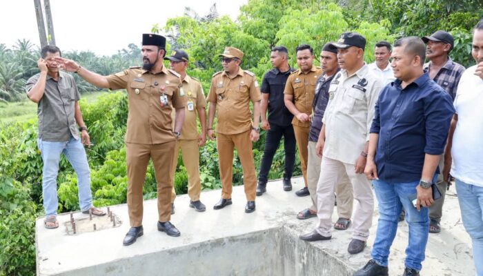 Bupati Al-Farlaky Tinjau Langsung Kondisi Jembatan Gantung Bhom Lama-Blang Simpoe