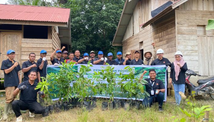 Aksi Nyata Pascabanjir: Medco E&P, BPMA, dan IM-TRAX Tanam 1.000 Pohon di Aceh Timur