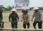 Lokasi Lahan Sawah Direhabilitasi Pasca Bencana, Dandim 0117/Atam Bersama Forkopimda Tanam Padi Perdana
