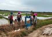 Babinsa Bersama Petani Periksa Pintu Air Demi Terpenuhi Air ke Sawah